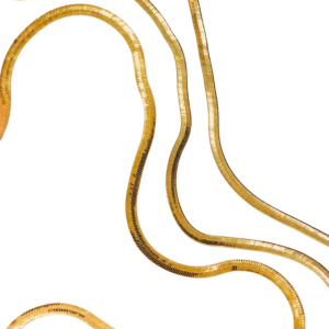 Herringbone Chains